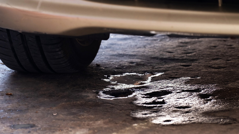 Oil pools on concrete beneath leaking car