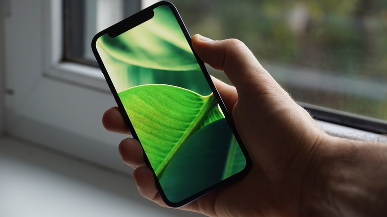 iPhone XR 11 wallpaper