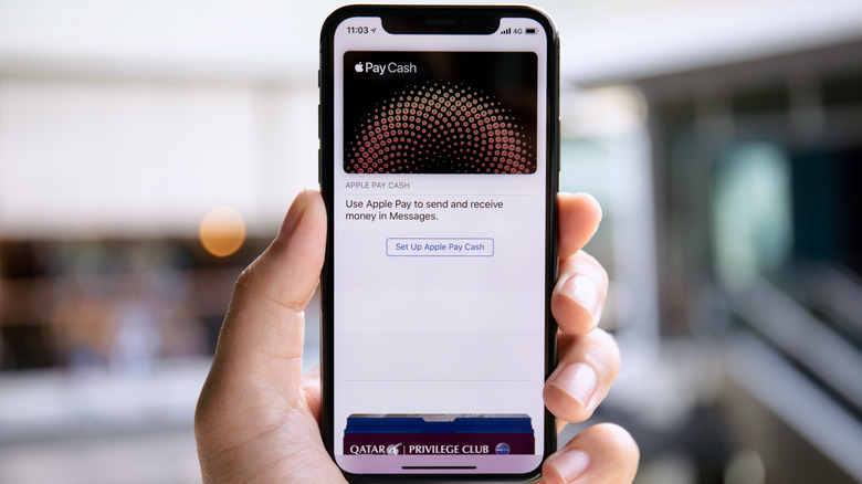Apple Pay cash screen in Wallet app on iPhone