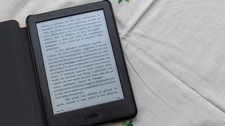 Kindle on bed