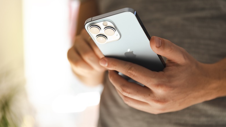 person holding iPhone