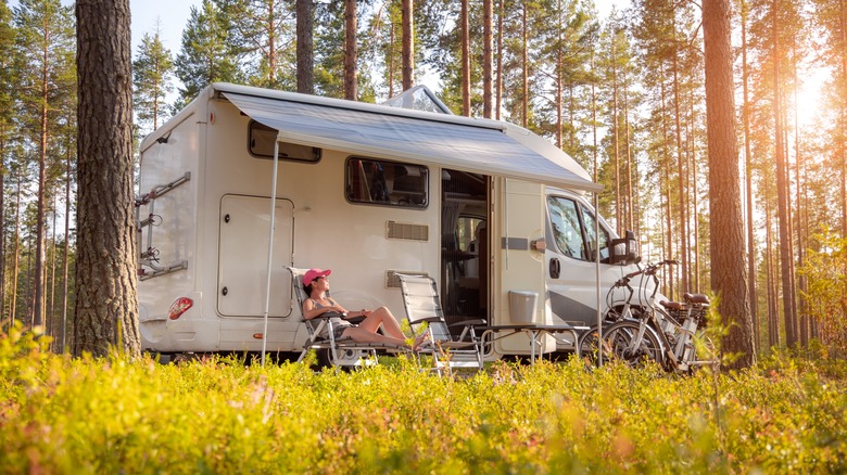 Camper van in forest 