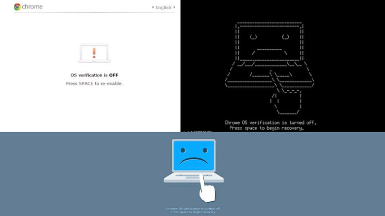 ChromeOS developer mode