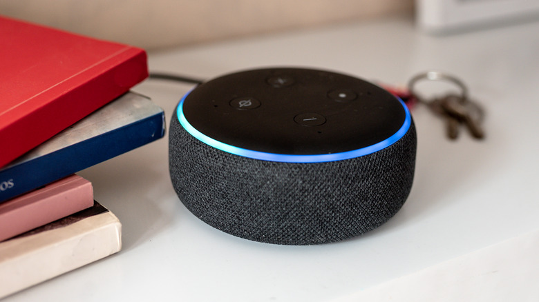 Echo Dot in between keys and books