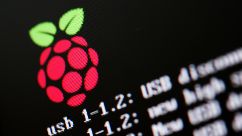 Closeup of Raspberry Pi logo
