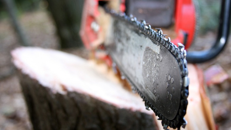 Chainsaw blade resting on wood