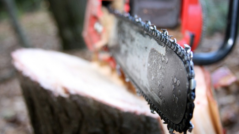 Chainsaw blade resting on wood
