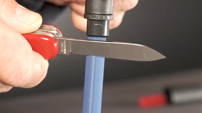 Person sharpening Swiss Army Knife
