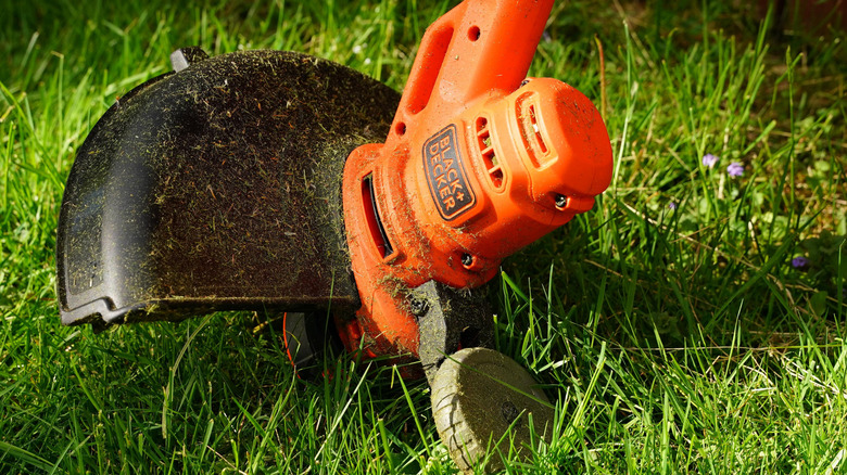 Close-up of a Black+Decker weed eater trimming a lawn