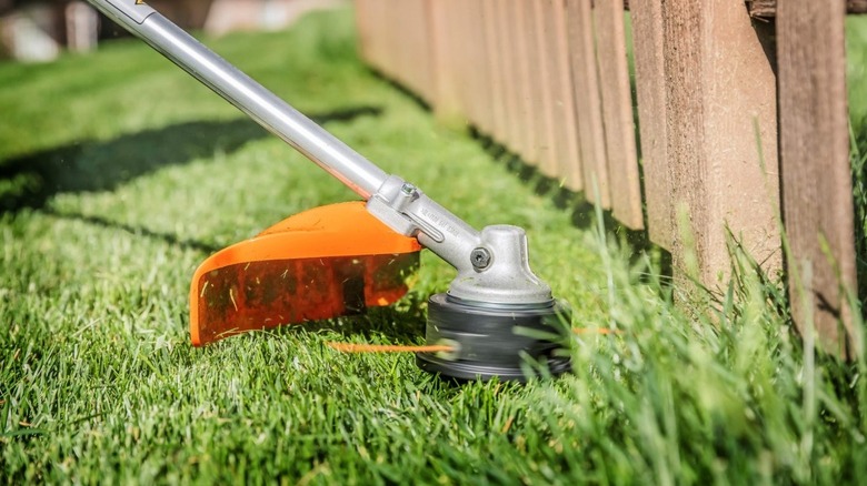 A STIHL straight shaft trimmer cutting grass along a fence