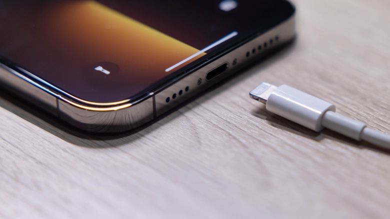 Apple iPhone 13 lightning port USB cable