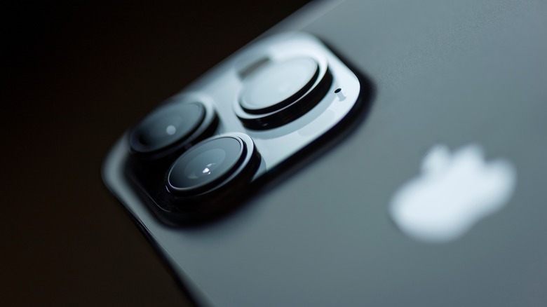Apple iPhone 13 Pro Max gray 