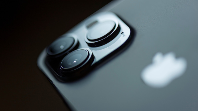 Apple iPhone 13 Pro Max gray