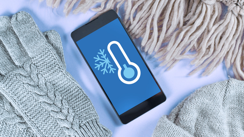 phone in the cold