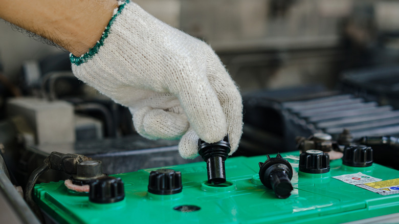 Mechanic checking the battery water level