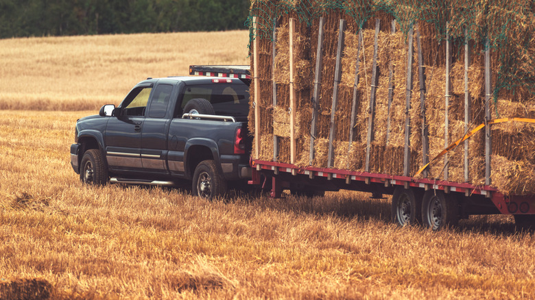 pickup truck hauling hay bales