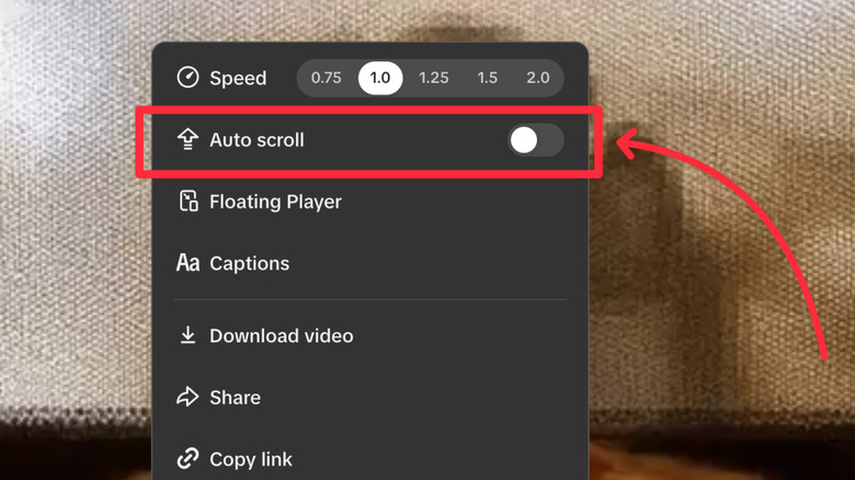 The TikTok autoplay setting on browser.
