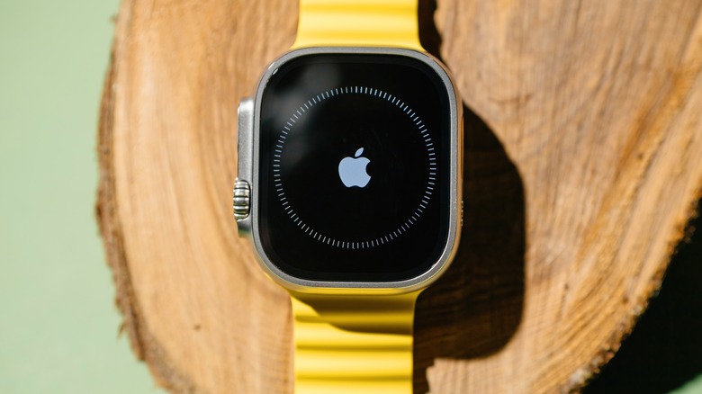 Apple Watch Ultra setup