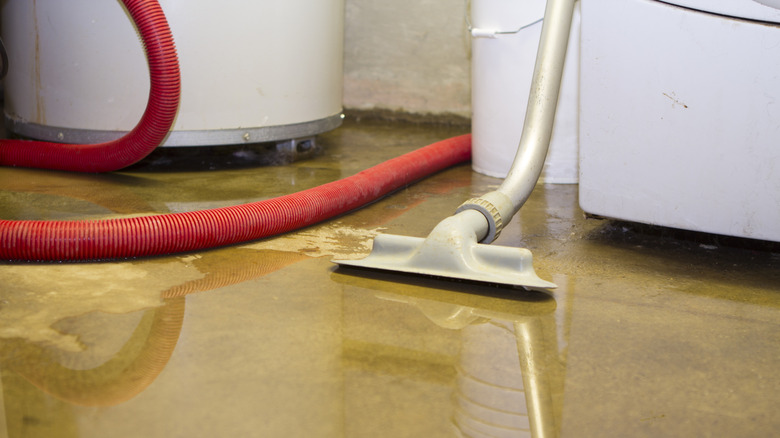 Cleaning flooded basement with vaccum