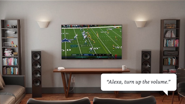 Fire TV voice control