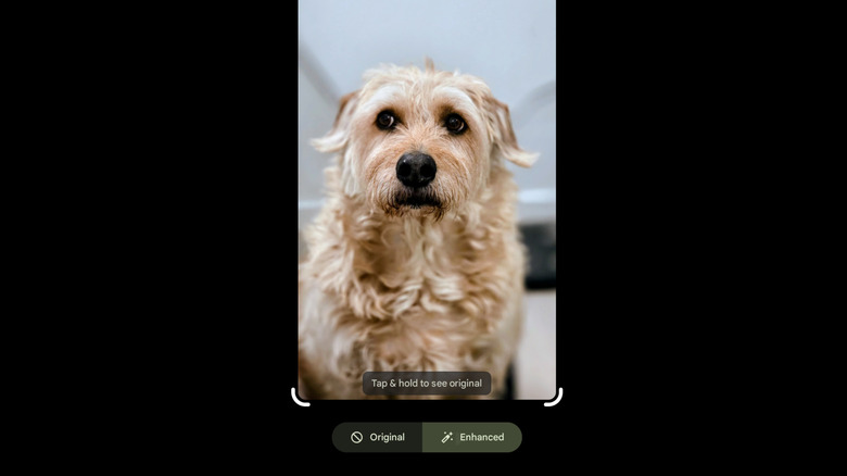 Quick Edit feature on Google Photos for Android