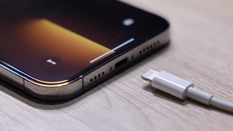 Apple Lightning Cable and iPhone