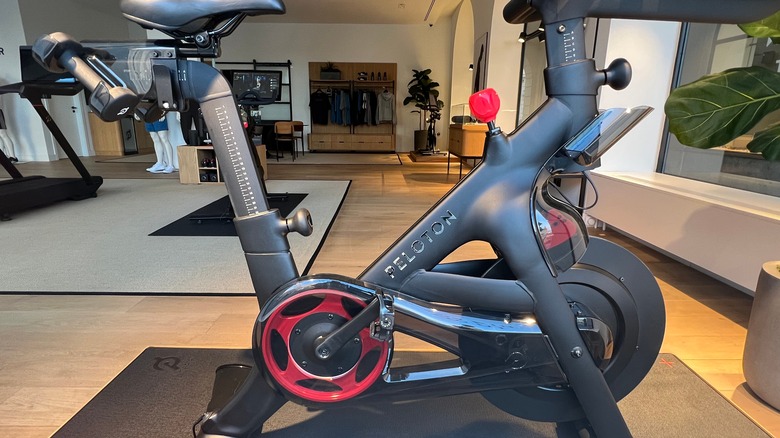 peloton bike home