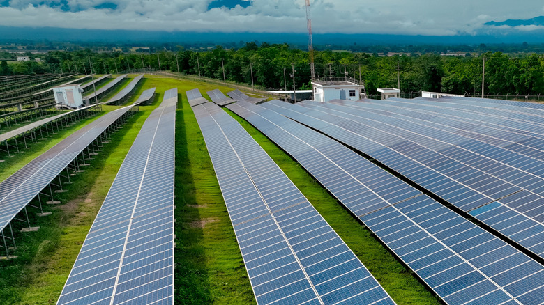 A solar farm field of panels in the forest