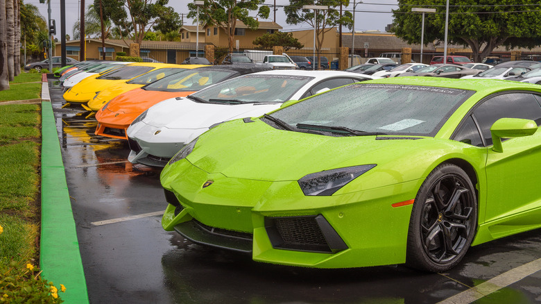 New Lamborghinis parked together