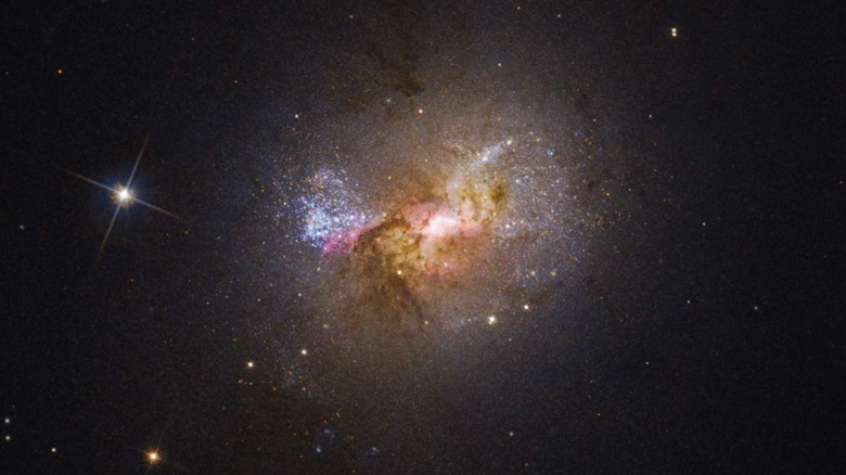 The 10 Weirdest Stars in the Milky Way