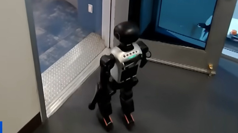 Stewie human robot boards southewest plane