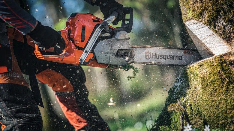 Husqvarna chainsaw cutting a tree