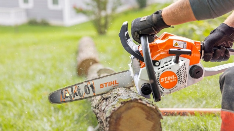 Stihl MS 172 cutting a small log