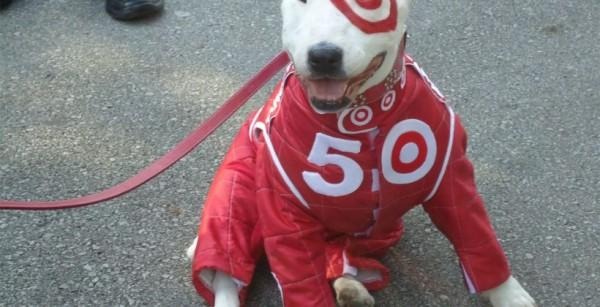 target-dog-820x420