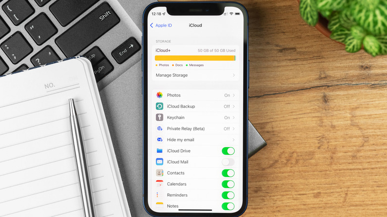 An iPhone showing the iCloud+ storage screen