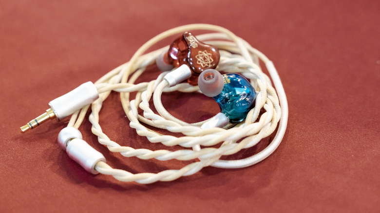 A pair of IEM earbuds