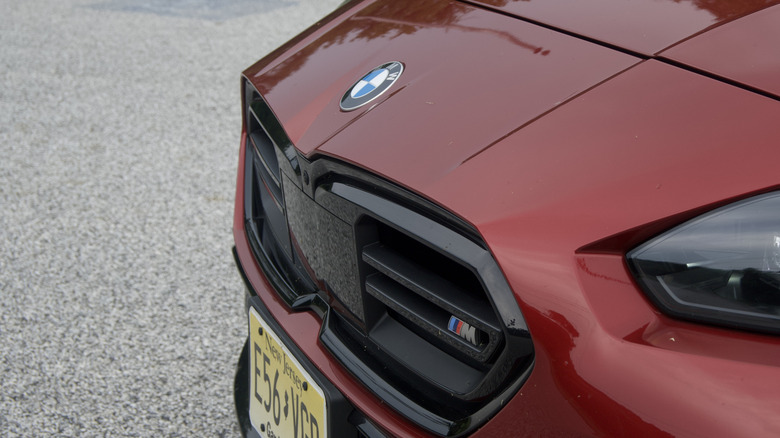 BMW M235 grille detail