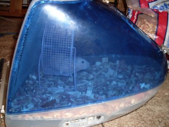 iMac_hamster_cage_ebay_1