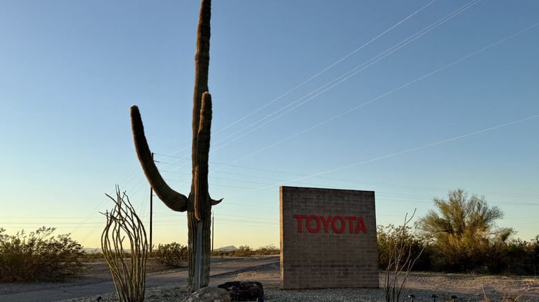 Toyota sign with cactus