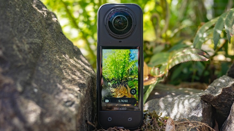 Insta360 X5 Sitting between two rocks on a stone wall with ferns pictured on the camera display.