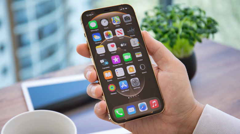 iPhone homescreen