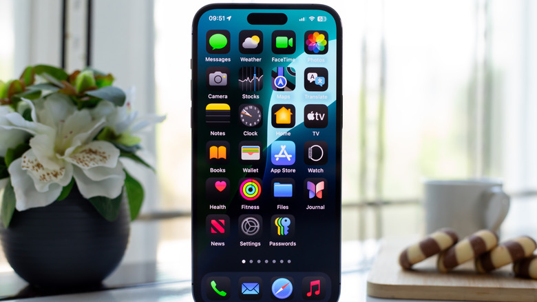 Home screen view of an iPhone