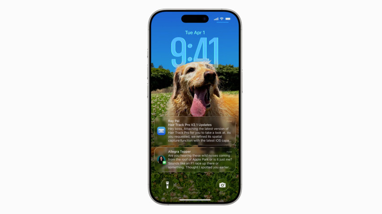 iPhone home screen showing Liquid Glass over the picture of a dog.