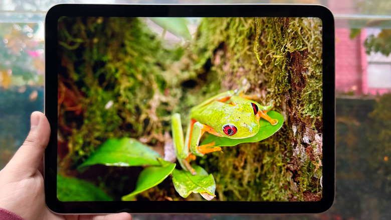 Watching video on iPad.