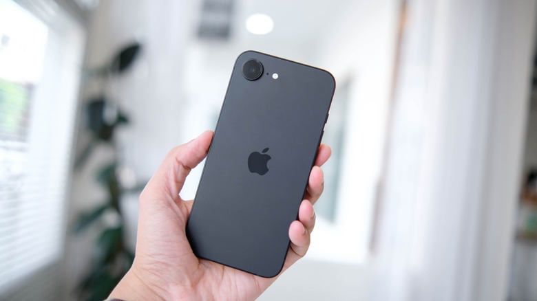 Person holding an iPhone 16e