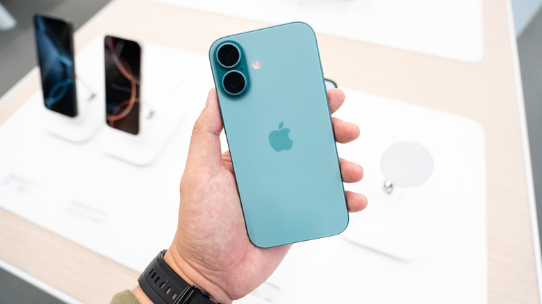 person holding an iPhone 16 model back side up
