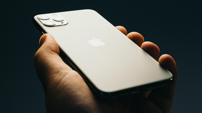 person holding iPhone 11 Pro Max