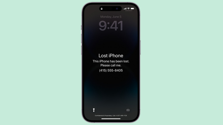 Lost iPhone display message