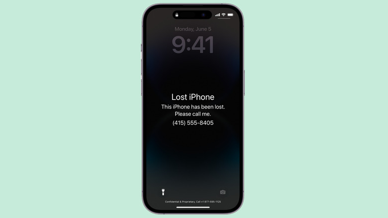 Lost iPhone display message