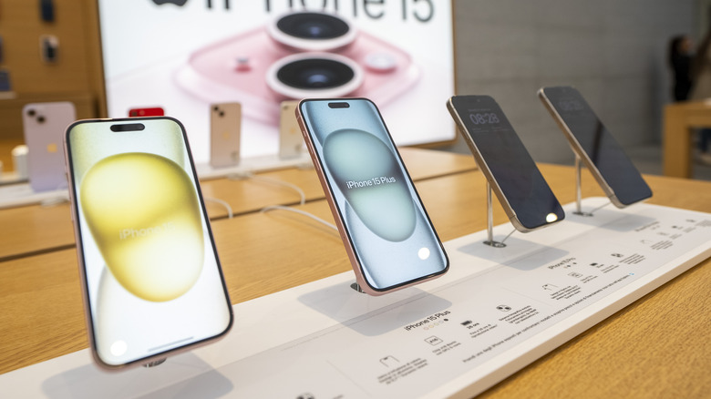 iPhone 15 display